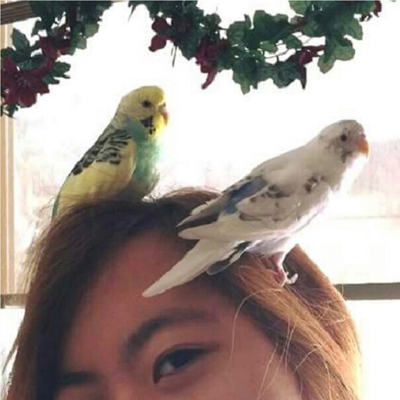 Meet your Posher - Picture 3 of 3